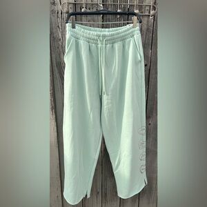 PINK Campus Fleece Wide-Leg Split-Hem Sweatpants In Mint V-Day.